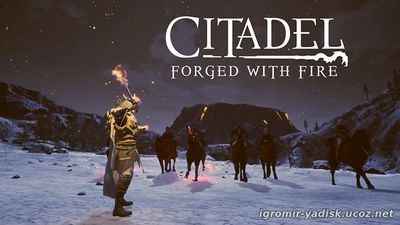 Citadel: Forged with Fire (2017)
